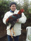 Dr. Karuniawan - Indonesia
