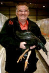 Egon Guthmann - Blackrooster