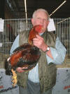 Helmut Wemhoener