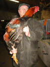 Werner - Wheatenrooster